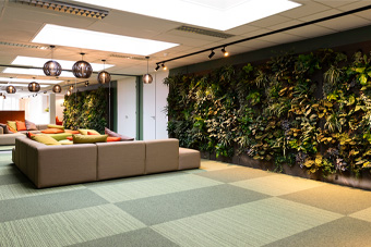 groen kantoor